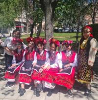 CVETNICA 66.jpg